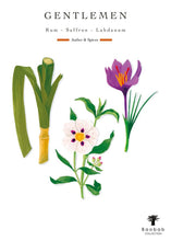 Illustrations of a plant and flowers with text on a white background