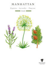 Illustrations of cypress, lavender, and papyrus with 'Manhattan' scents and 'Baobab Collection' branding on a white background.