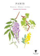 Illustration of wisteria, mimosa, and linden flowers with 'Paris' text and Baobab Collection logo.