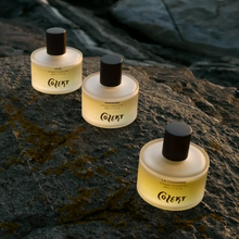 A collection of Colekt Cologne Concentrée on natural rock setting.