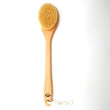 Wooden body brush with natural bristles on a white background