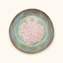 Ceramic plate with floral design on a white background