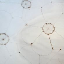 Close-up of floral patterns on a white background