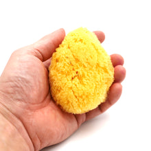 Hand holding a yellow sponge on a white background