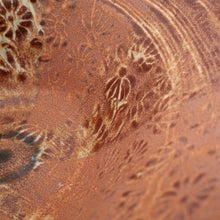 Close-up of a textured brown surface with intricate patterns