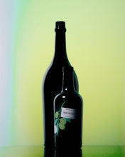 Two olive oil bottle with label on yellow green hue background