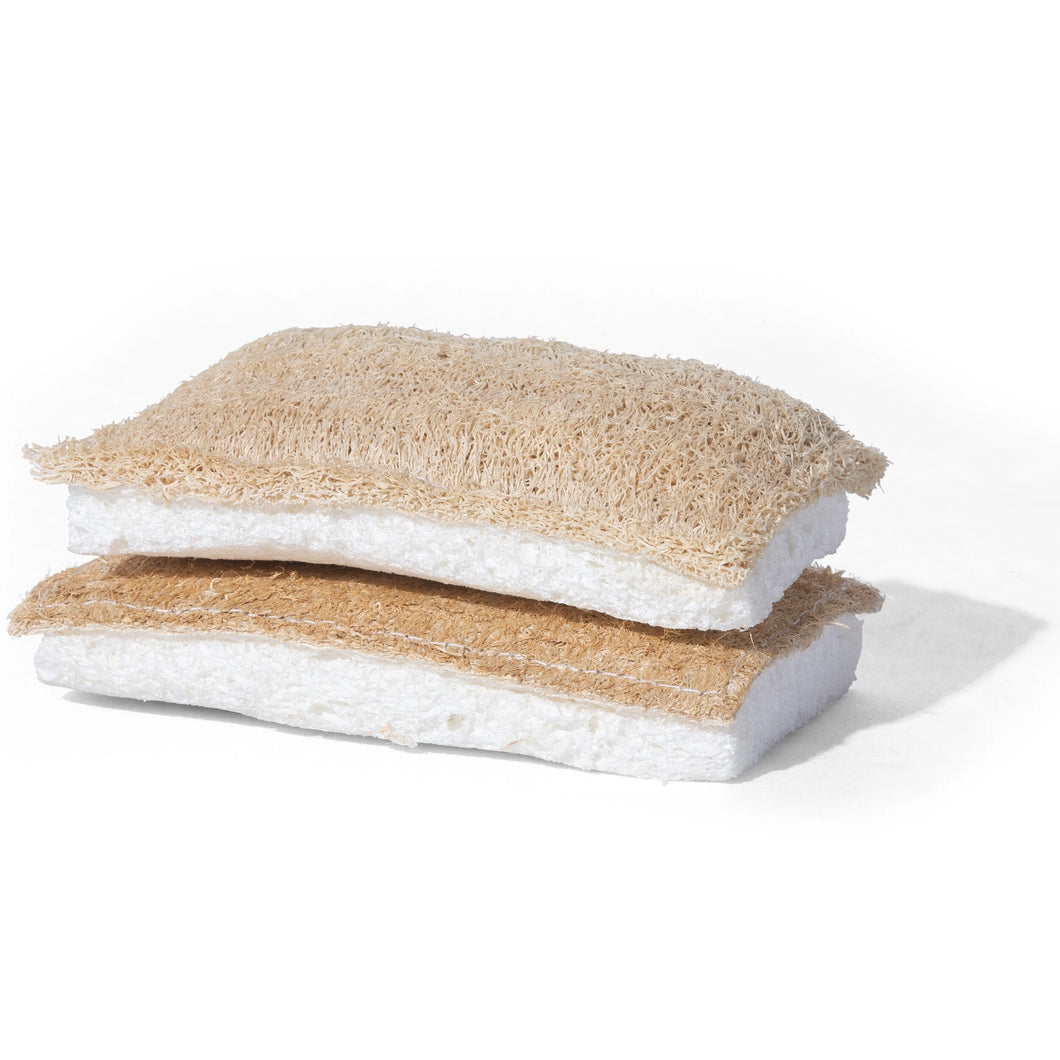 Two beige and white sponges stacked on a white background