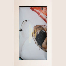 Chocolate packaging with oyster shell on a white background