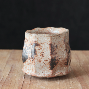 Ceramic sake cup glaze variation 