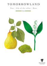 Illustration of a pear, lily of the valley, and moss with 'Tomorrowland' text and Baobab Collection logo.