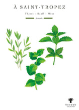 Illustration of thyme, basil, and mint leaves with 'A Saint-Tropez' branding on a white background.