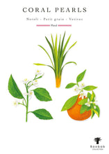 Illustration of plants and flowers with 'Coral Pearls' fragrance description on a white background