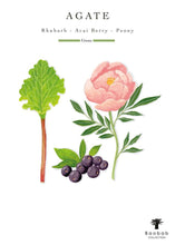 Illustrations of rhubarb, acai berry, and peony with 'Agate' description and 'Baobab Collection' branding.