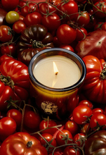 Flamingo Estate candle in a bed of heirloom tomatoes 