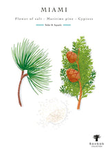 Illustration of maritime pine and cypress with 'Miami' text and Baobab Collection logo.