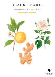 Illustration of a grapefruit, ginger root, and rose with 'Black Pearls' text and Baobab Collection logo.