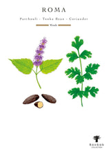 Illustrations of patchouli, tonka bean, and coriander with 'Roma' text and Baobab Collection logo.