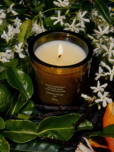 Flamingo Estate Night Blooming Jasmine & Damask Rose candle in jasmine and citrus botanical environment 