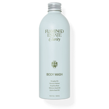 Flamingo Estate Peppermint & Juniper Berry Clarity Body Wash In aluminum bottle