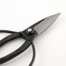 Black-handled scissors with sharp blades on a white background