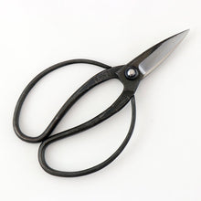 Black-handled scissors on a white background