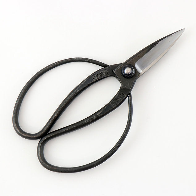 Black-handled scissors on a white background