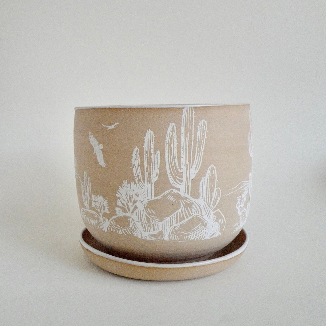Ceramic planter with a desert scene, set on a saucer. 